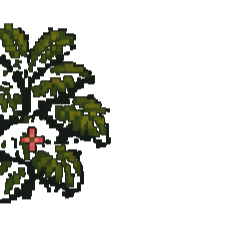 Foliage decor